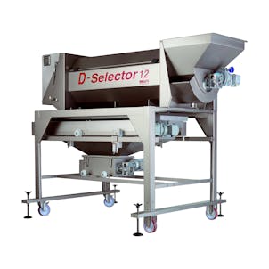 Grape Processing