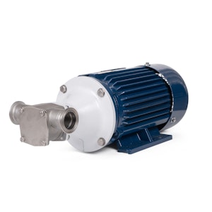 Jabsco SQN 20 Flexible Impeller Pump + Motor